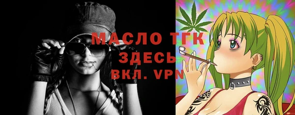 СК Алексин