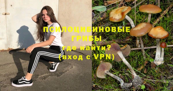 СК Алексин