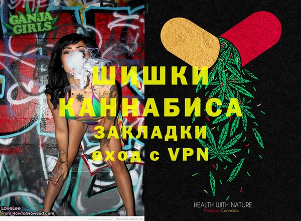 СК Алексин
