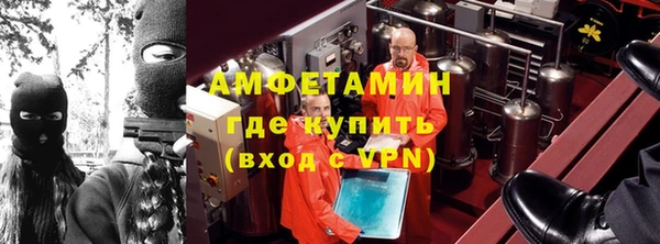 СК Алексин
