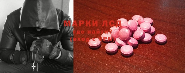СК Алексин